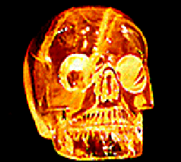skull